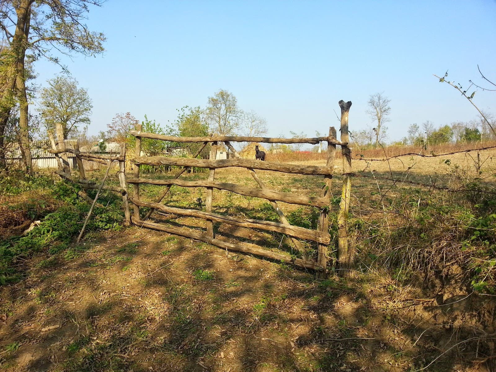 Beștepe — fotografie 2