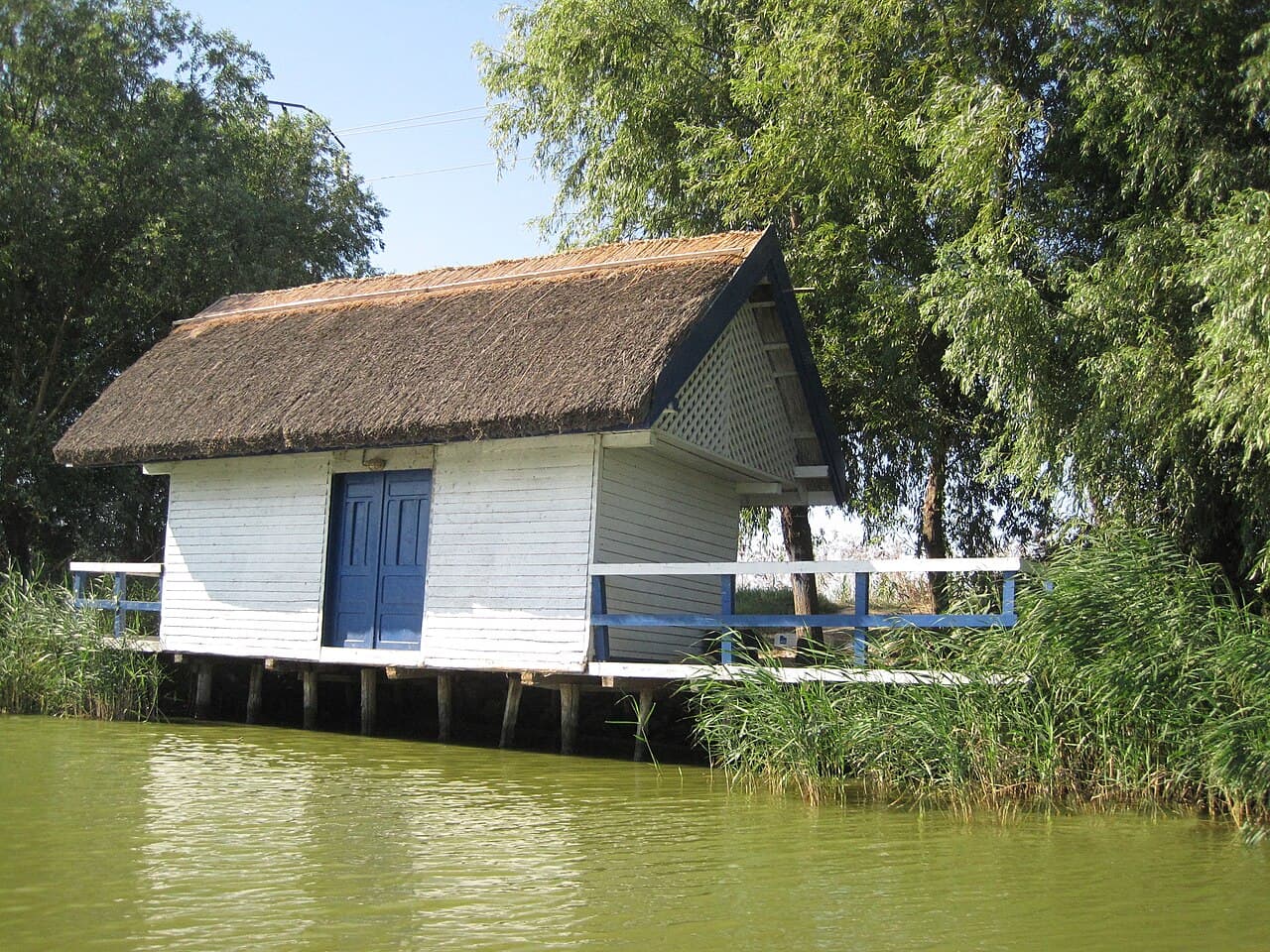 Greșeli de evitat în Delta Dunării