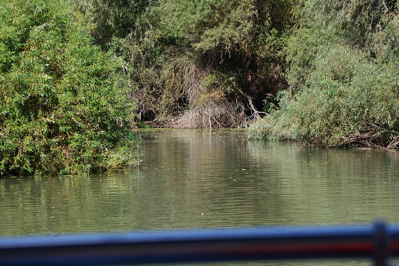 Lacul Fortuna