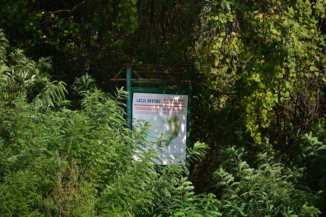 Lacul Nebunu