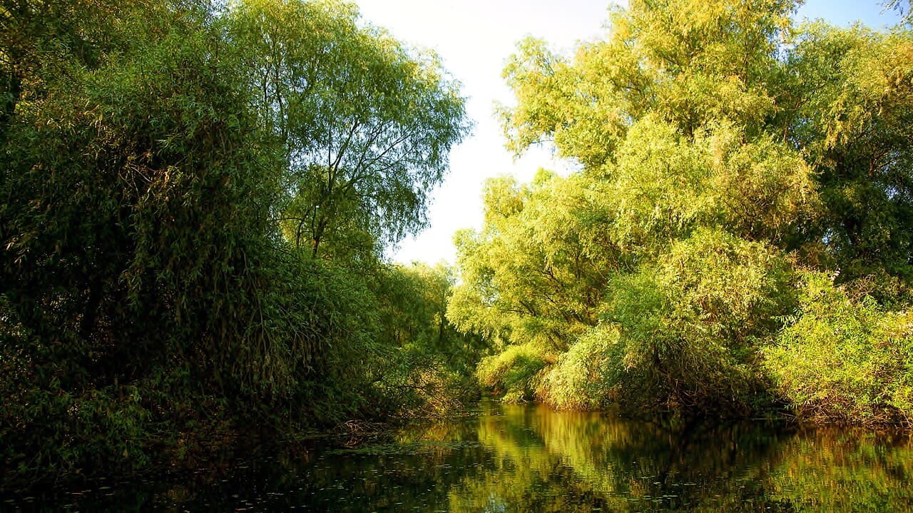 Când să mergi în Delta Dunării — ghid pe sezoane