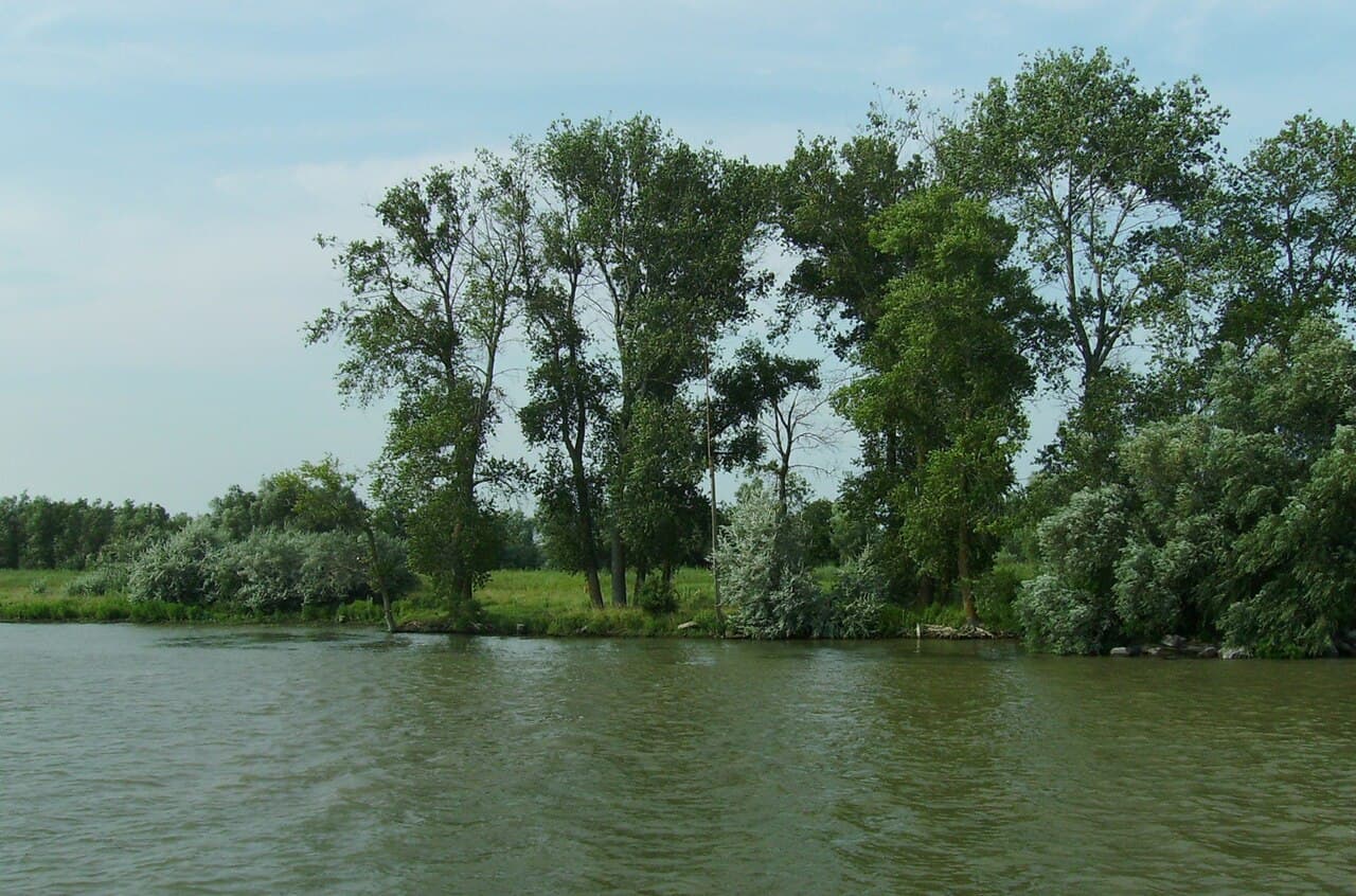 Padurea Letea