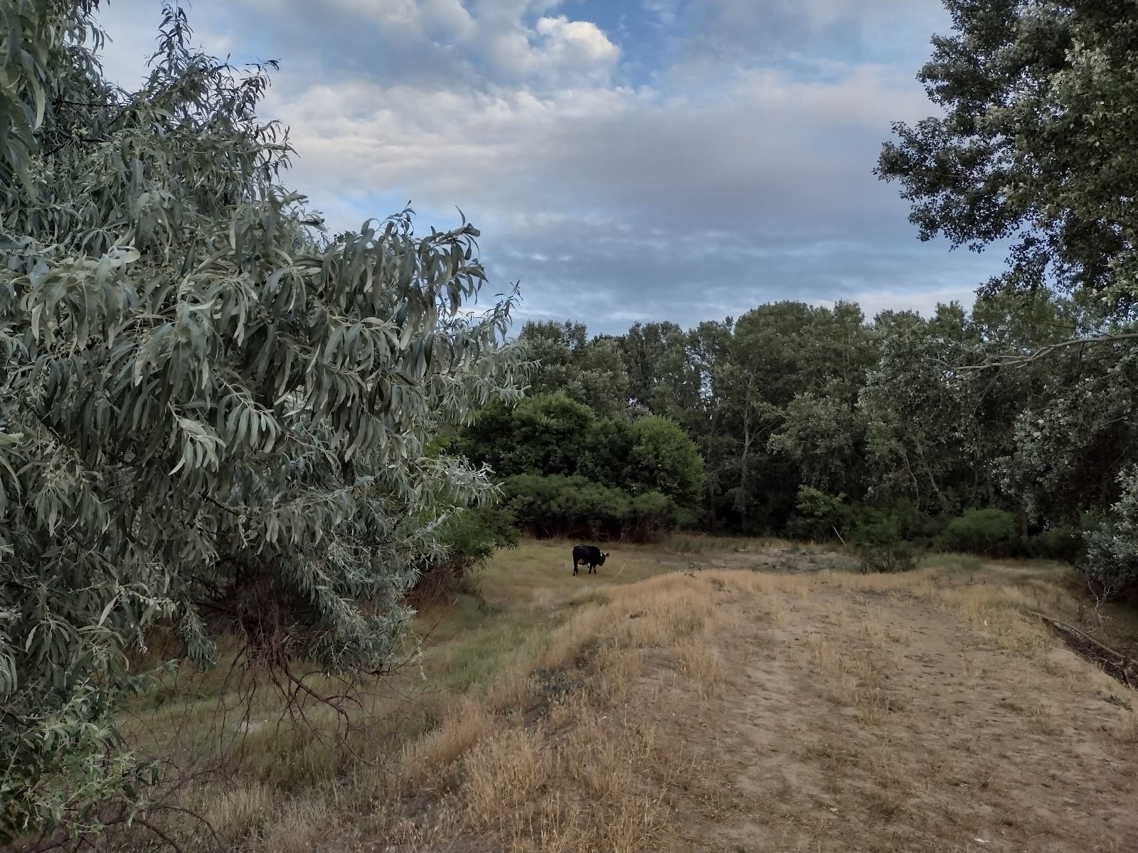 Ceatalchioi — fotografie 2