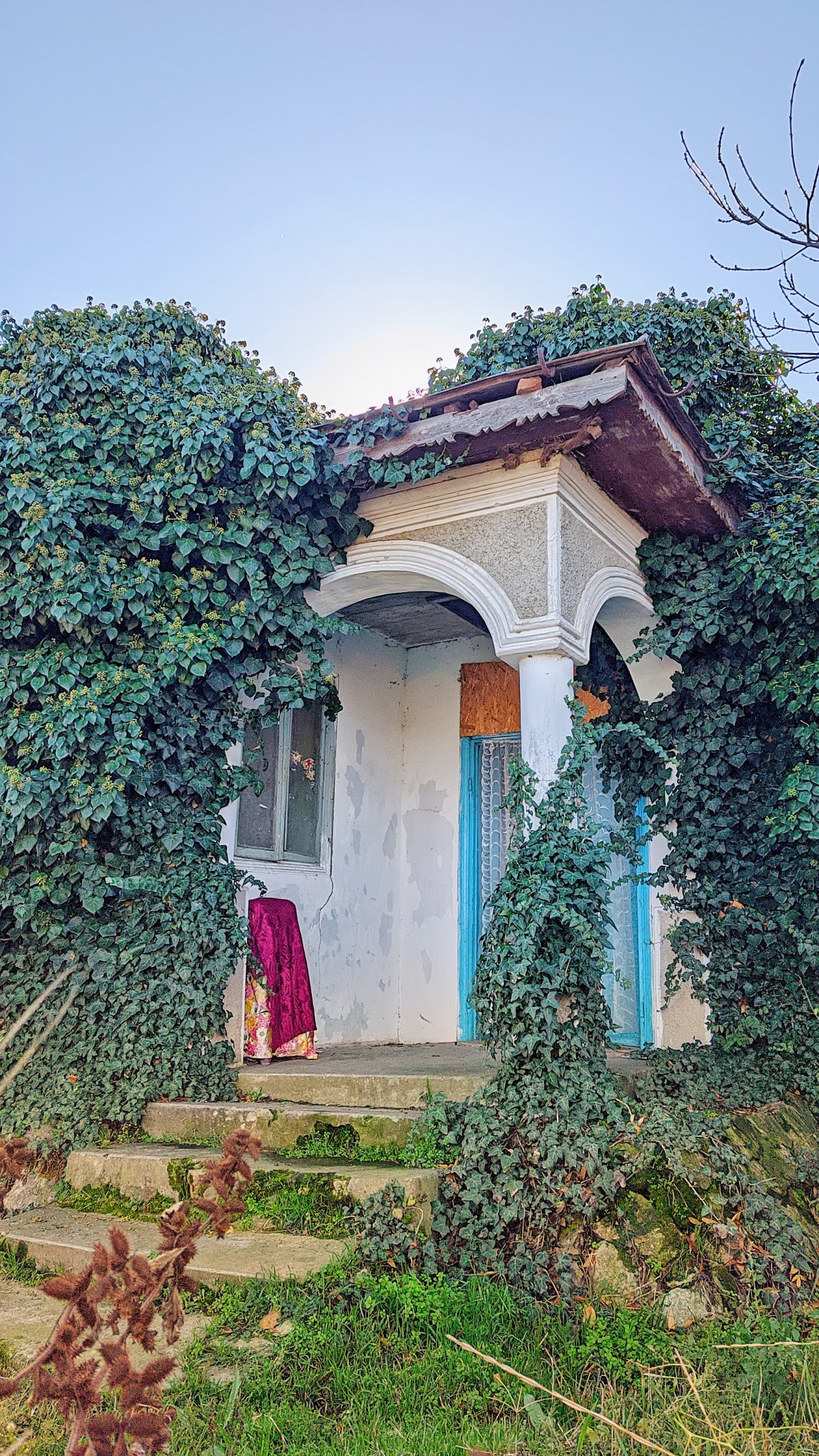 Sfântu Gheorghe — fotografie 3